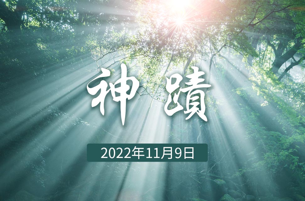 2022年11月9日—神蹟