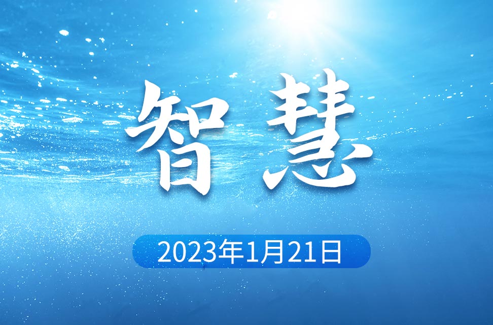 2023年1月21日—智慧