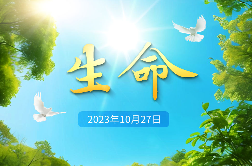 2023年10月27日-生命