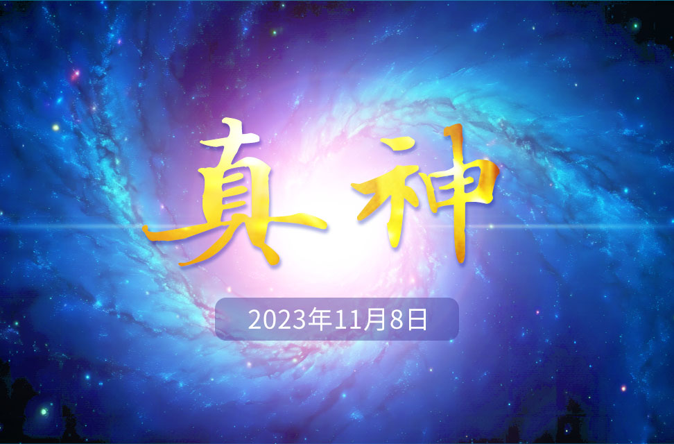 2023年11月8日—真神