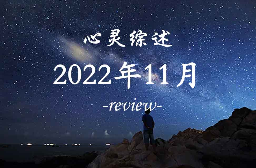 2022年11月心灵综述